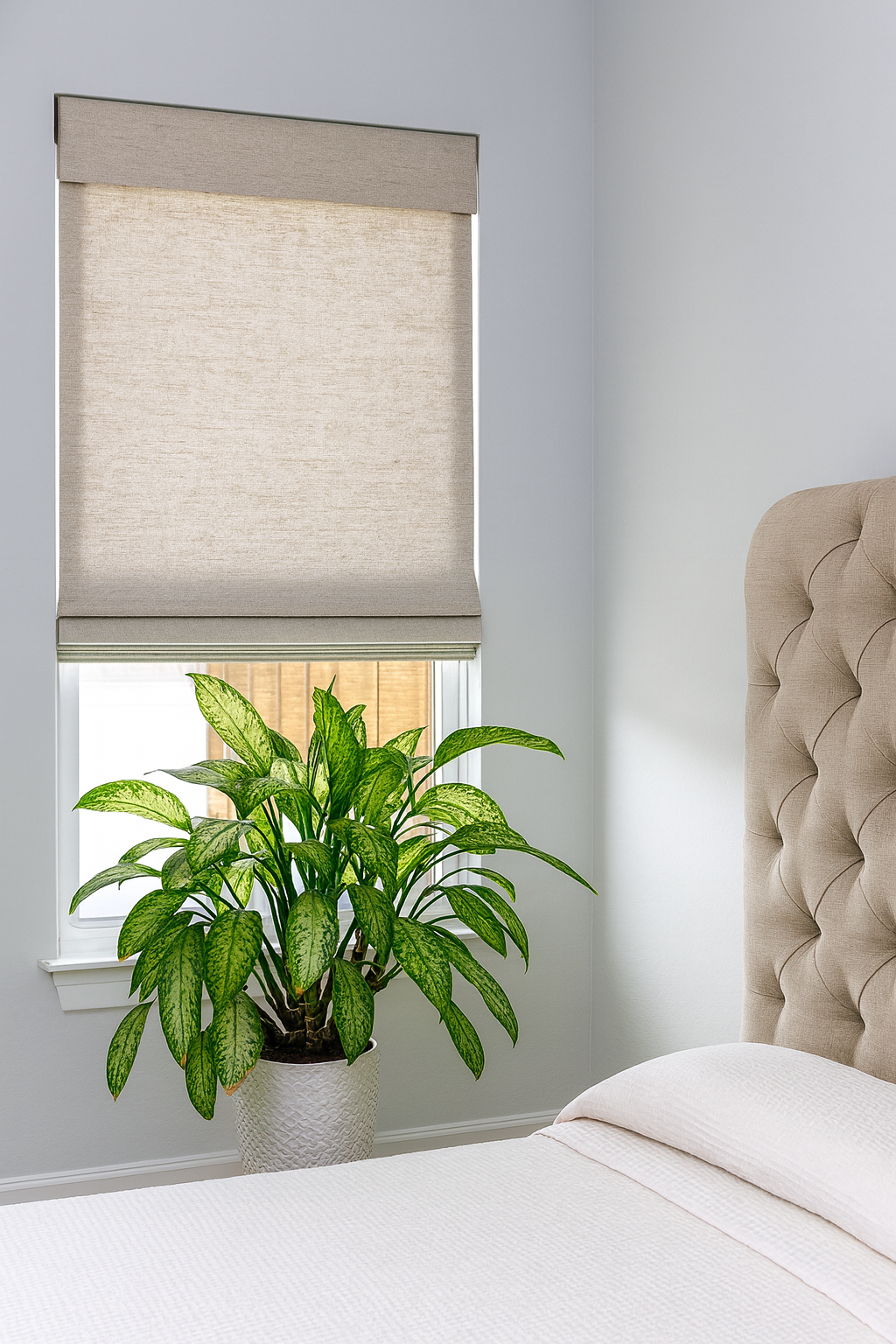 CORDLESS Roman shades (BLACKOUT)36"x64"